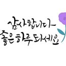 한줌엑스퍼트 네이버블로그