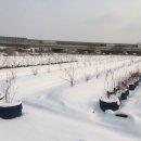 시진농장 이미지