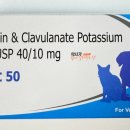 서면다정동물약국 이미지