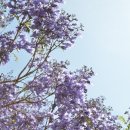 복음자동차공업사 이미지