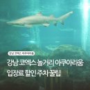 코엑스아쿠아리움 | 강남 코엑스 놀거리 아쿠아리움 후기와 이용 꿀팁