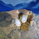 고향펜션캠핑 이미지