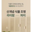 라이팜 이미지