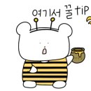 유원비엔비 이미지