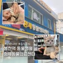 형제종합동물병원 | 관악구 봉천 서울대 동물병원 형제동물의료센터 내돈내산 솔직후기
