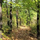 용담면사무소 이미지