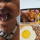 쉐프의 수제간식 이미지