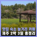 예술로 여는 서귀포의 봄 <세상풍경, 제주를 담다> | 3월 제주 여행 추천 봄 제주도 2박 3일 코스 웹플로우 팸투어