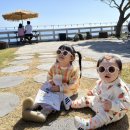 예스예스애견 이미지