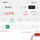 (주)와이지플러스 Daum카페