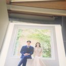 [2개월만에 결혼준비하기] 정경옥 웨딩 드레스 투어 후기 / 스드메 고르기