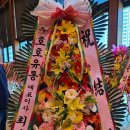 호호유통