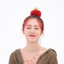 애플포토 이미지