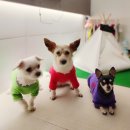 폴리파크 김천혁신점 이미지