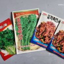 정심야채
