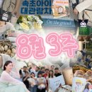 8월 세 번째 주의 기록