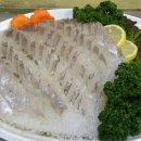 경정장후문 이미지