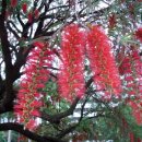 심천한의원 이미지