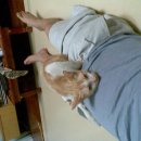 논꼴농장 이미지