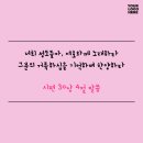 강릉청소 이미지