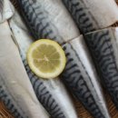 (주)알브이디 이미지