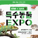하이동물MC | 🦎 정브르 엑스포 2026 송도컨벤시아 할인·프로그램·주차 한번에 정리