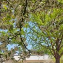 상상농장3 이미지