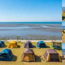 팔봉갯벌체험야영장 | 🌊 서산 팔봉갯벌체험야영장 완벽 가이드: 예약, 시설, 갯벌 체험 프로그램 정보
