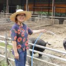 장훈목장 이미지