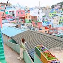 암남동 사천해물탕 건물 | 부산 송도 케이블카 용궁구름다리 근처 아르떼뮤지엄 가격 주차