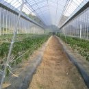 인하농장 이미지