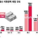 저출산 | 1명도 안 낳는데 다자녀 예산만 '펑펑'…헛돈 쓰는 출산정책 | 머니투데이 이미지