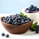 블루베리 이미지