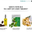 스파리본