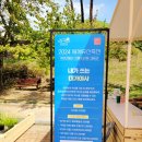 경북 고령으로 힐링여행, &lt;2024 세계유산축전 가야고분군&gt;