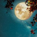 절기밥상 이미지