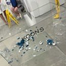 Design Dog 이미지