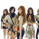 브릿지에이전트 이미지