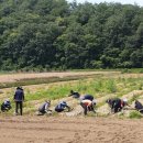 농촌진흥청 국립식량과학원 이미지