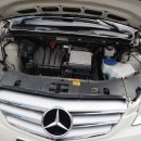 뉴월드마스터 이미지