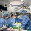 넬동물의료센터 이미지