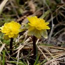 우면산3-23 이미지