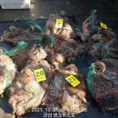 비응남로 이미지