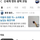 신세계덴트광택코팅 이미지