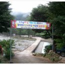 김삿갓면-43 Daum카페