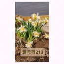 월곡리213