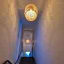 타이그랜파 이미지