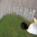 설도공원 이미지