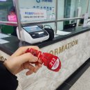 보홀여행 전 필수인 인천 프리다이빙 체험 송도잠수풀 붐붐다이브 후기