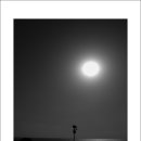 ＜주일 설교＞ [421] 골로새서 2:8-15 (이단사조에 대한 경계 및 그리스도의 신성과 속죄 사역의 완전성 강조) (20251207 이미지